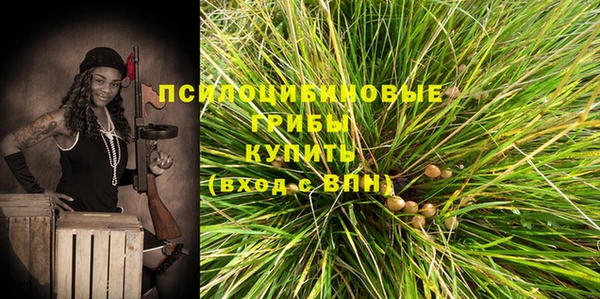 а пвп мука Алзамай
